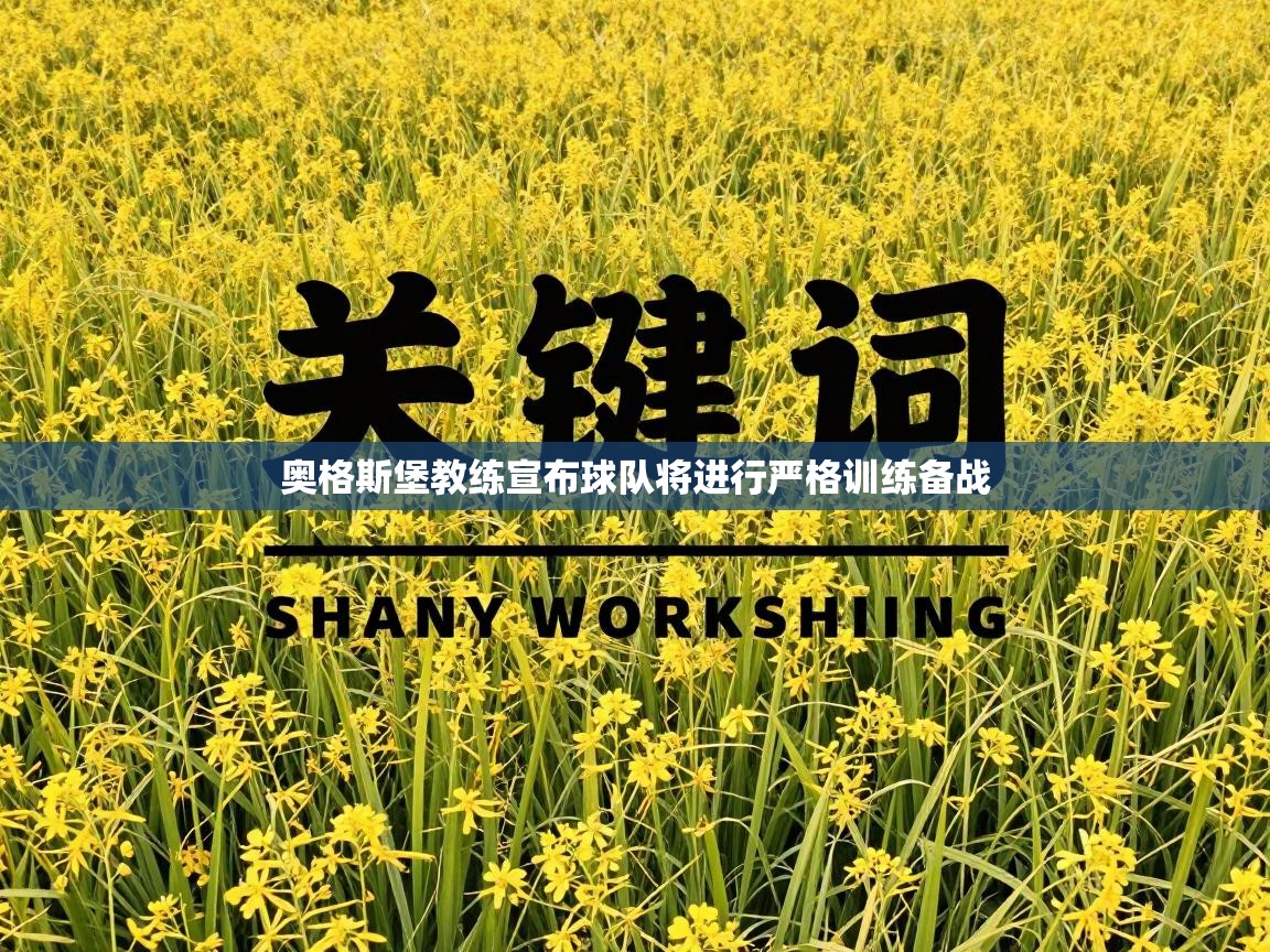 奥格斯堡教练宣布球队将进行严格训练备战  第1张