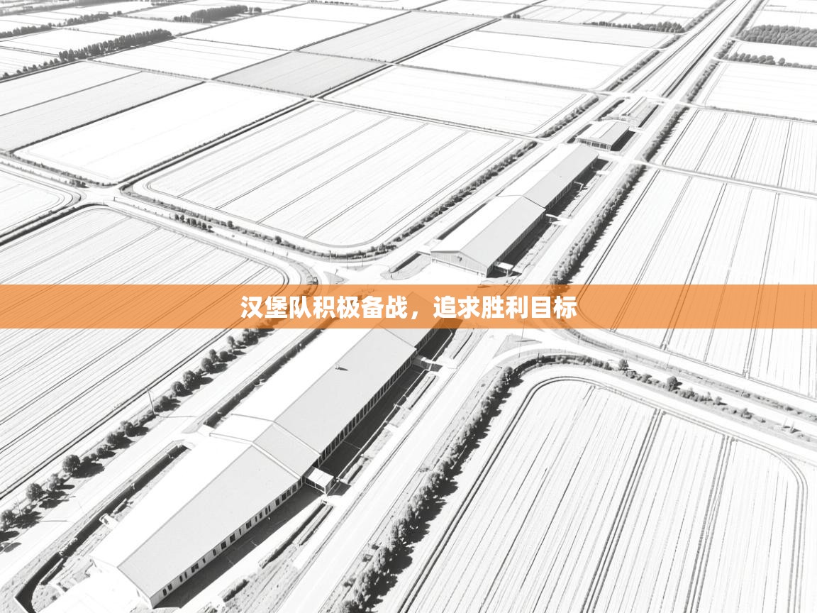 汉堡队积极备战，追求胜利目标  第2张