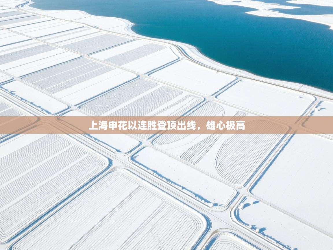 上海申花以连胜登顶出线,雄心极高 第2张