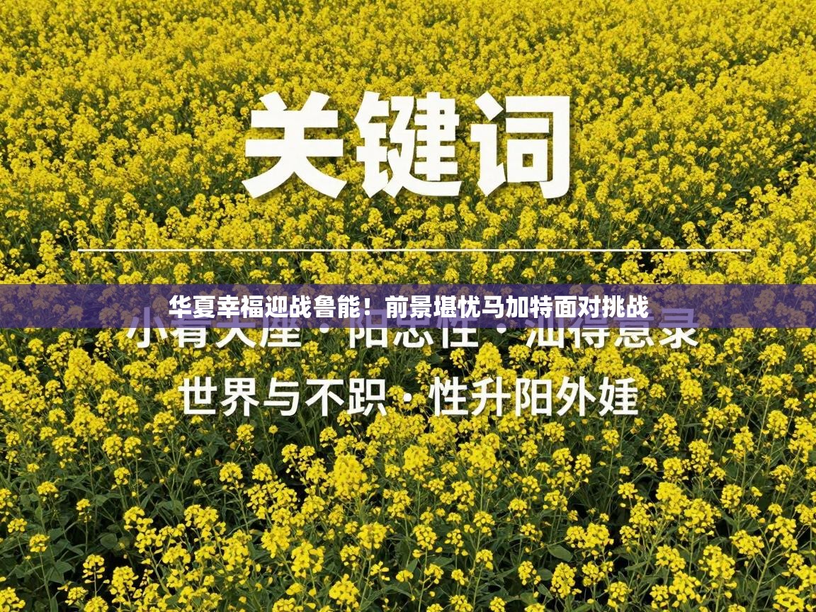 华夏幸福迎战鲁能!前景堪忧马加特面对挑战 第1张