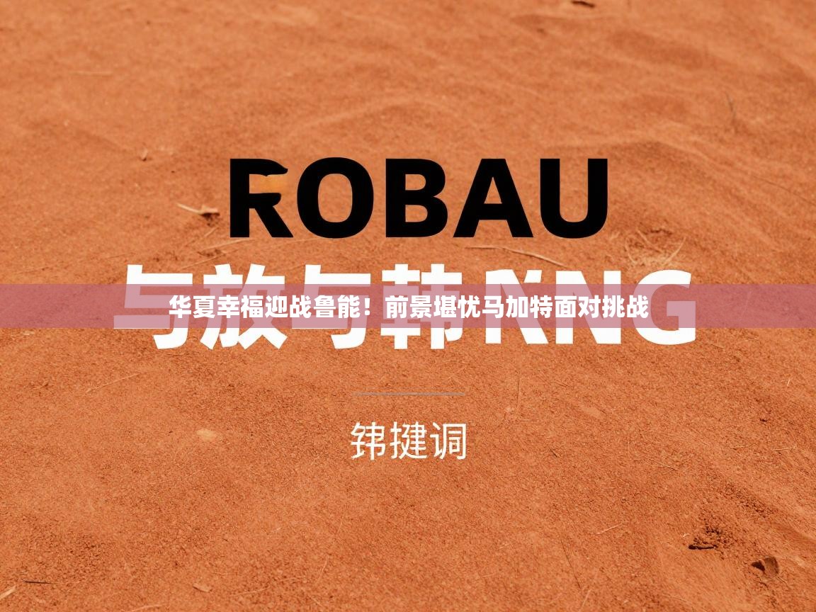 华夏幸福迎战鲁能!前景堪忧马加特面对挑战 第2张