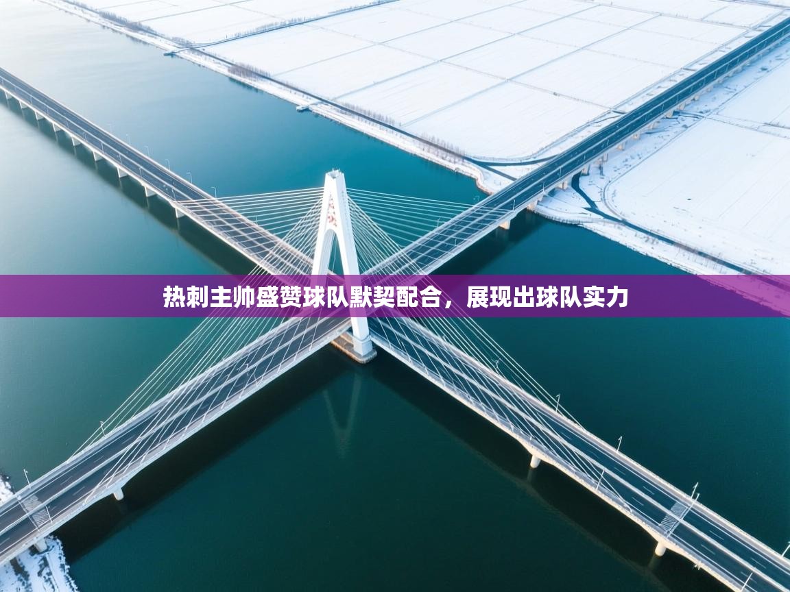 热刺主帅盛赞球队默契配合,展现出球队实力 第1张