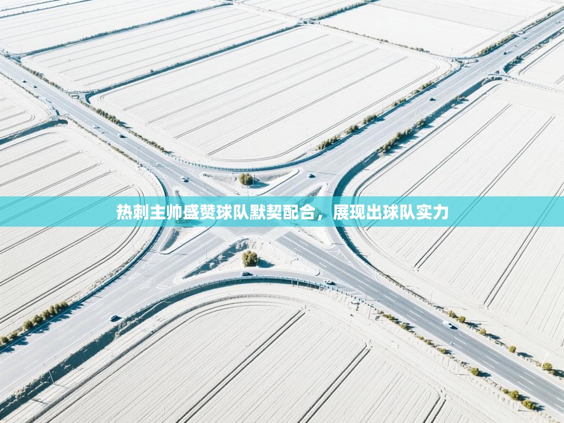 热刺主帅盛赞球队默契配合,展现出球队实力 第2张