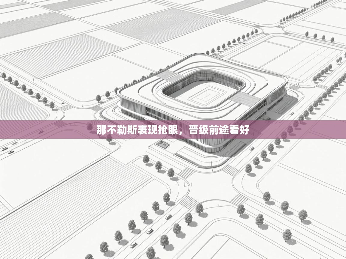 那不勒斯表现抢眼,晋级前途看好 第1张