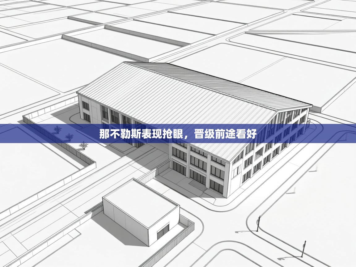 那不勒斯表现抢眼,晋级前途看好 第2张