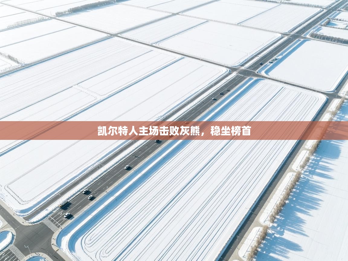 凯尔特人主场击败灰熊，稳坐榜首  第2张